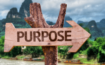 The-Importance-of-Purpose-A-way-to-Success