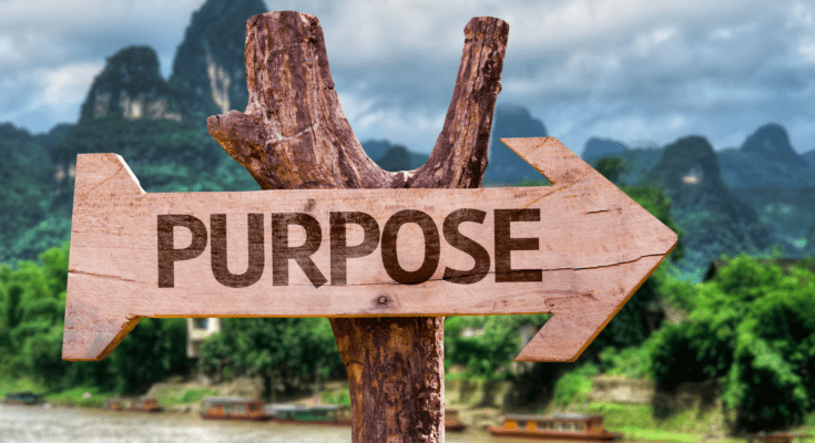 The-Importance-of-Purpose-A-way-to-Success